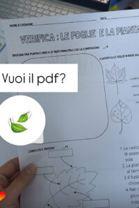 PROGRAMMAZIONE ITALIANO CLASSE SECONDA- RIPASSO ORTOGRAFICO IN TEMA NATALIZIO- DICEMBRE- di maestra Elisetta
