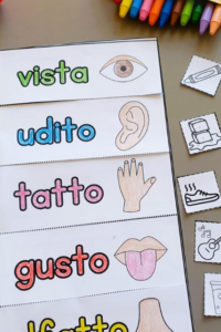 Gli strumenti dello scienziato. Il Flipbook