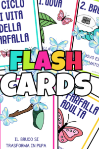 Le parti della pianta. Il lapbook per botanici in erba