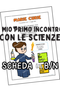 CICLO DI VITA DELLA FARFALLA. Flash cards