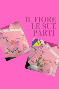 L’impollinazione_ Maestra Simo