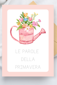 Il villaggio dei numeri _Maestra Simo